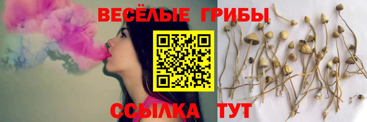 Моздок  Псилоцибиновые грибы прущие грибы  Вход с VPN 